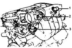 Расположение датчика (1) абсолютного давления во впускном коллекторе, датчика (2) положения дроссельной заслонки и привода (3) регулировки частоты вращения коленчатого вала двигателя на холостом ходу